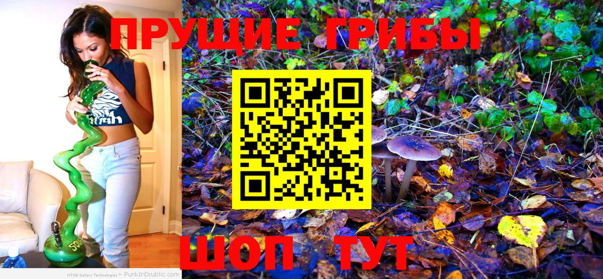 Псилоцибиновые грибы прущие грибы Кимры