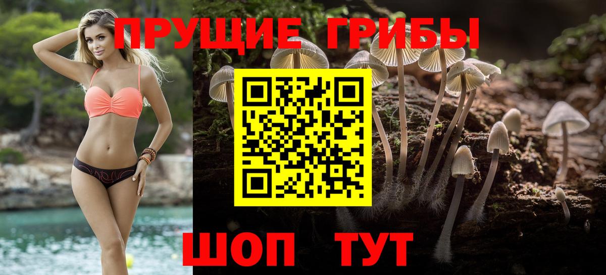 даркнет сайт  Псилоцибиновые грибы ЛСД  Вход с VPN  Кимры 